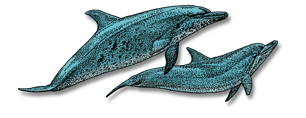 Bahamas Trip Registration