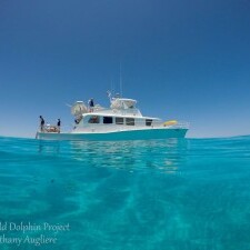 Bahamas Trip Registration - logo